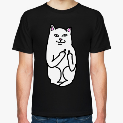 Картинки кот с факами 61